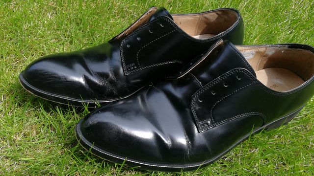 Regal worth collection