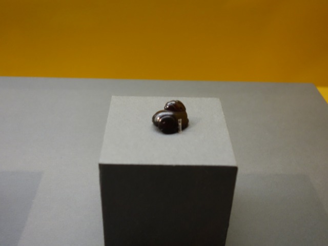 三国志展　獣形飾