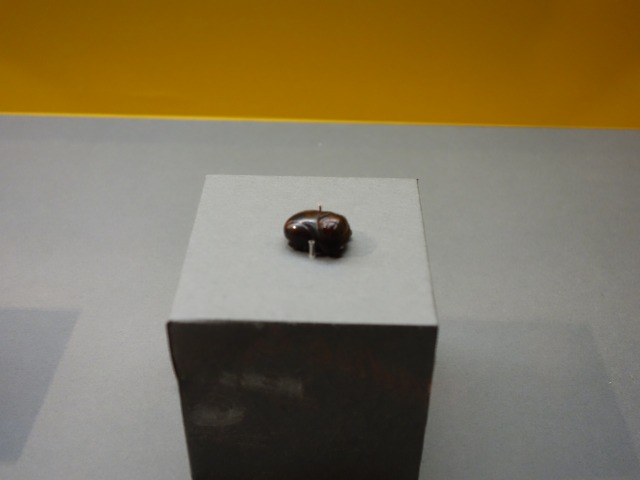 三国志展　獣形飾