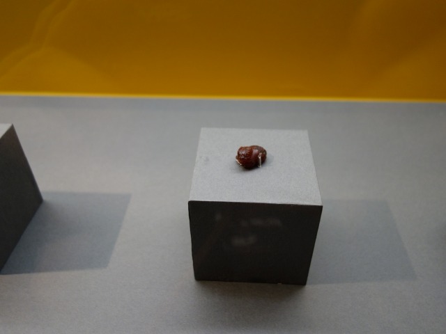 三国志展　獣形飾