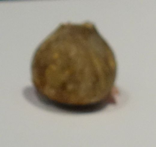 三国志展　石球