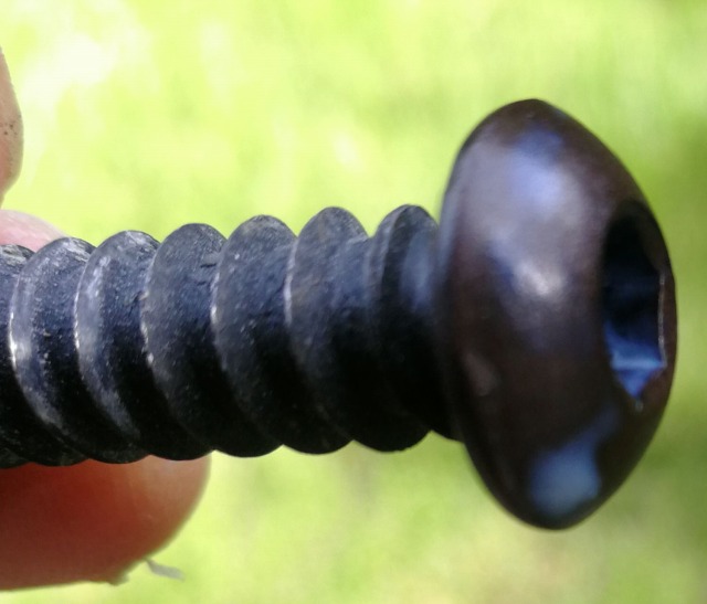 ネジリフレッシュ後