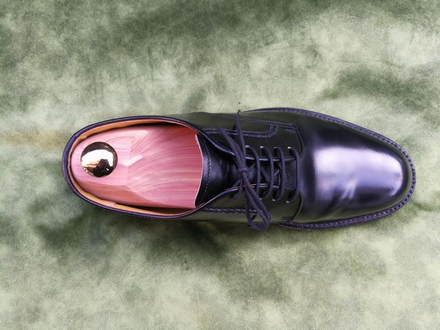 ディプロマット X リーガル2504