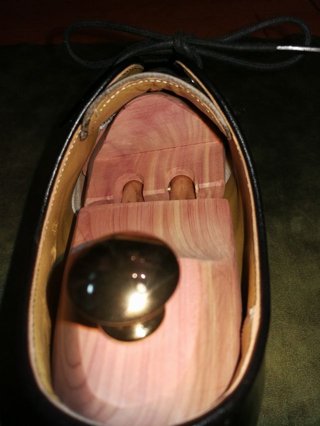 ディプロマット X リーガル2504