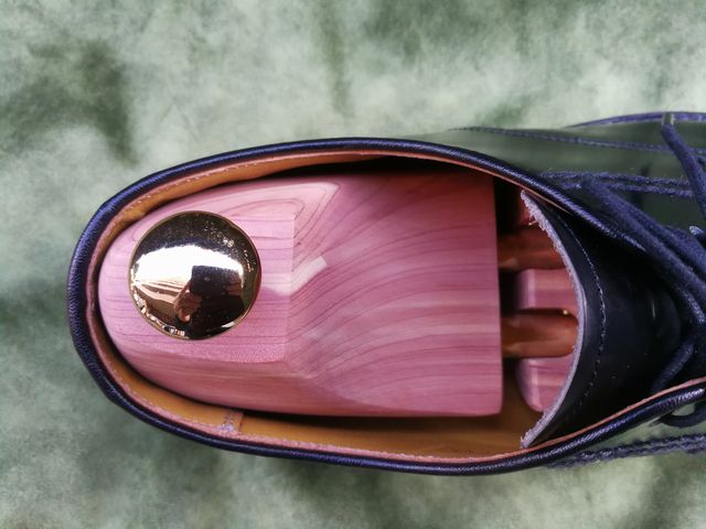 ディプロマット X リーガル2504