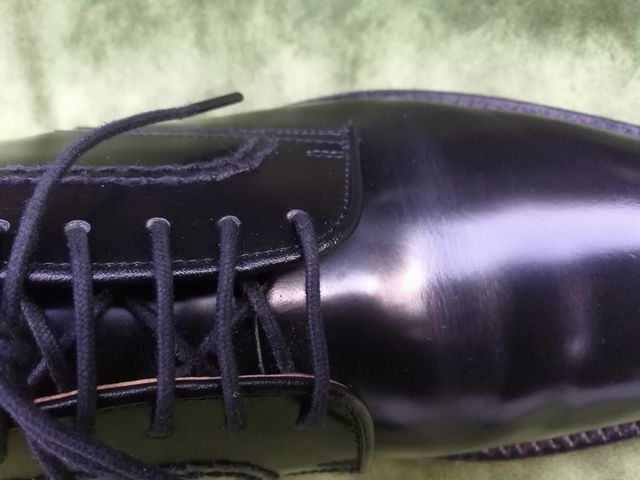 ディプロマット X リーガル2504