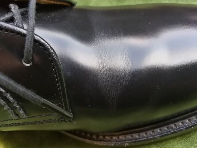 ディプロマット X リーガル2504