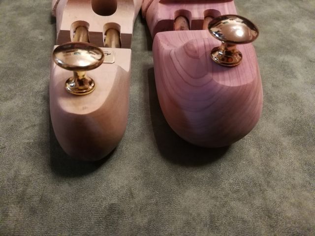 ディプロマットとサルトレカミエ