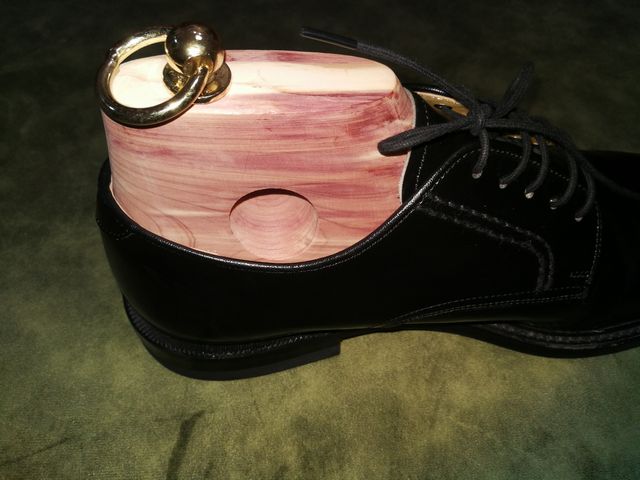 ミレニアム X リーガル2504