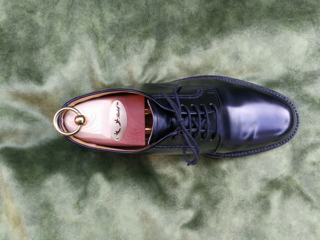 ルドルフ X リーガル2504