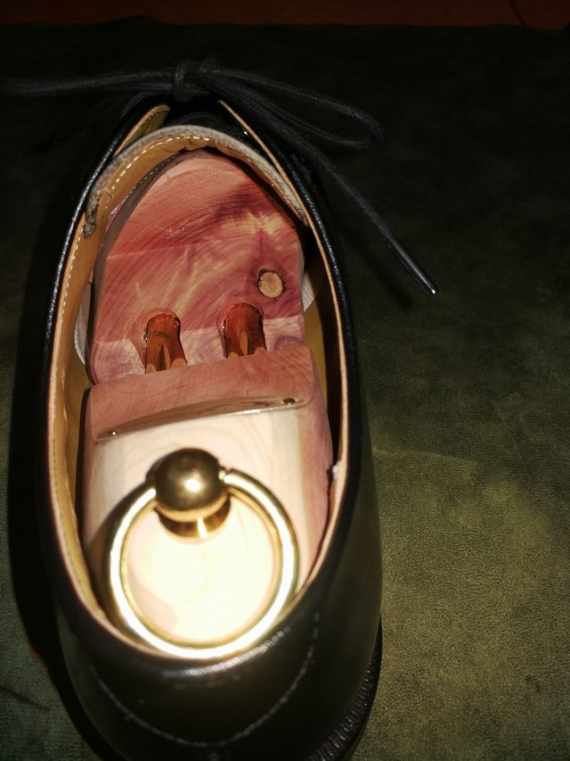 ルドルフ X リーガル2504