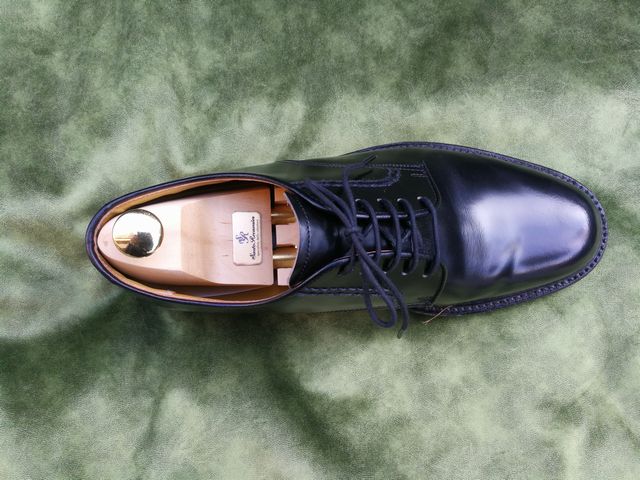 サルトレカミエ　&　リーガル2504