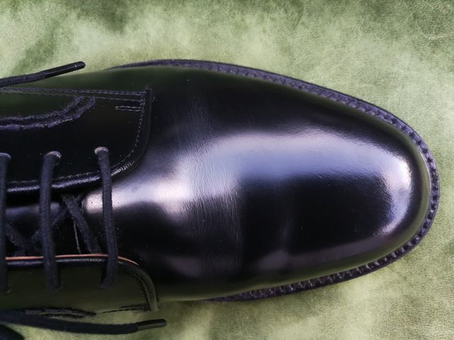 サルトレカミエ　&　リーガル2504