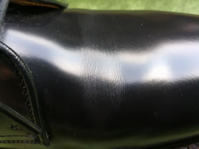 サルトレカミエ　&　リーガル2504