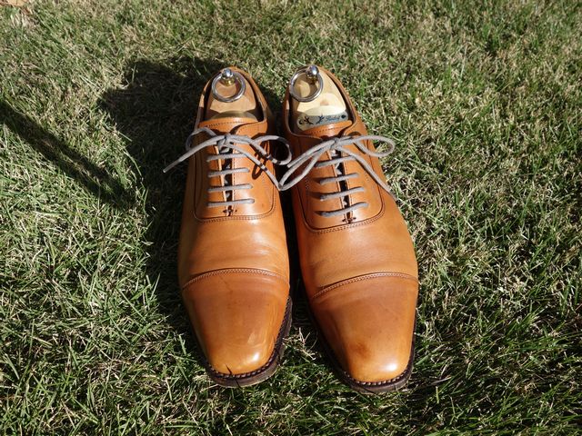 Regal worth collection