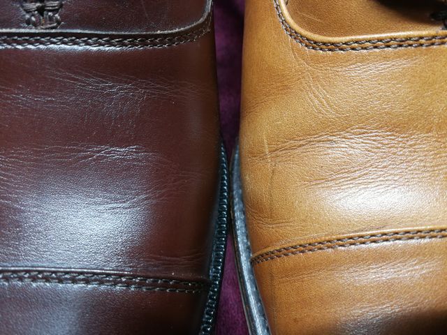 Regal worth collection