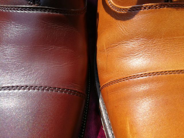 Regal worth collection